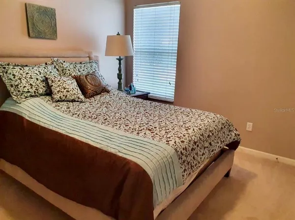 a view of a backyard with large trees