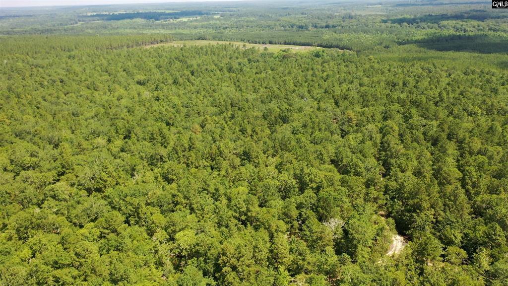0 Huckleberry Finn Road Batesburg, SC 29006 - Photo 4 of 9