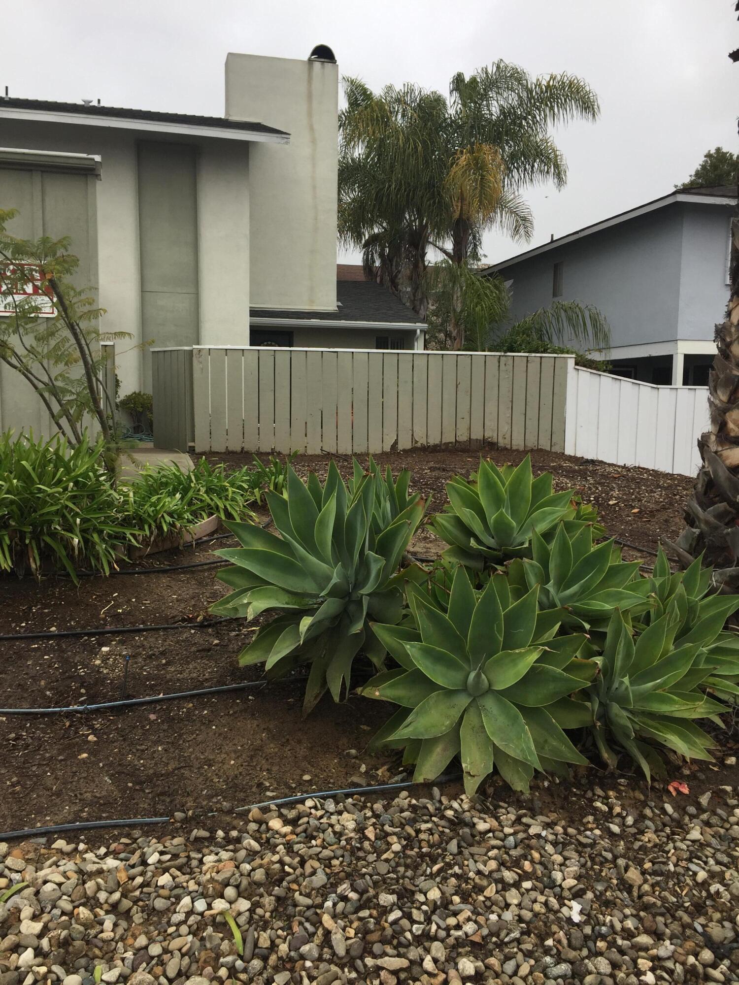 . Davenport Road, Unit B Goleta, CA 93117 - Photo 13 of 13 IMG_2755(1)