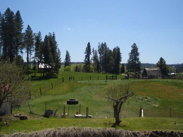 12620 North Fairview Road Mead, WA 99021 - Photo 8 of 9