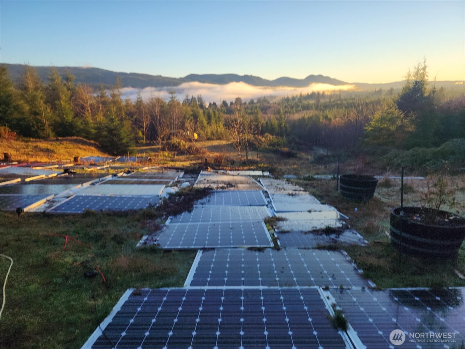 a view of a street with a yard