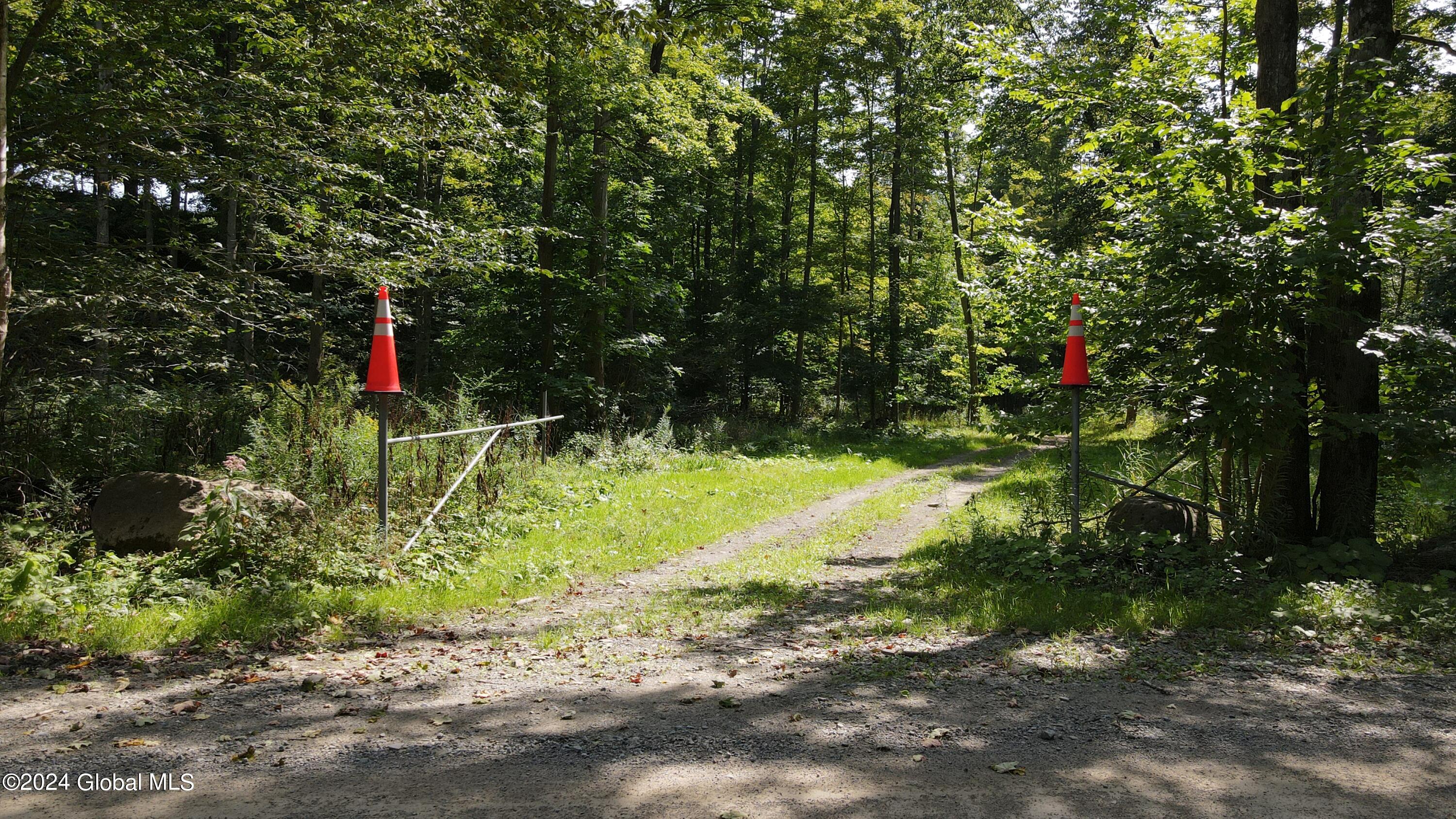 L31 Lewis Road Bemus Point, NY 14712 - Photo 12 of 16 DJI_0144