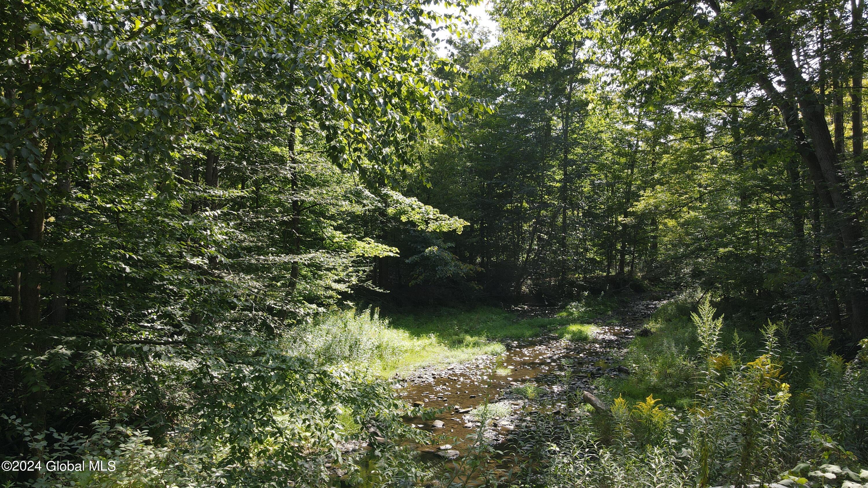 L31 Lewis Road Bemus Point, NY 14712 - Photo 13 of 16 DJI_0149