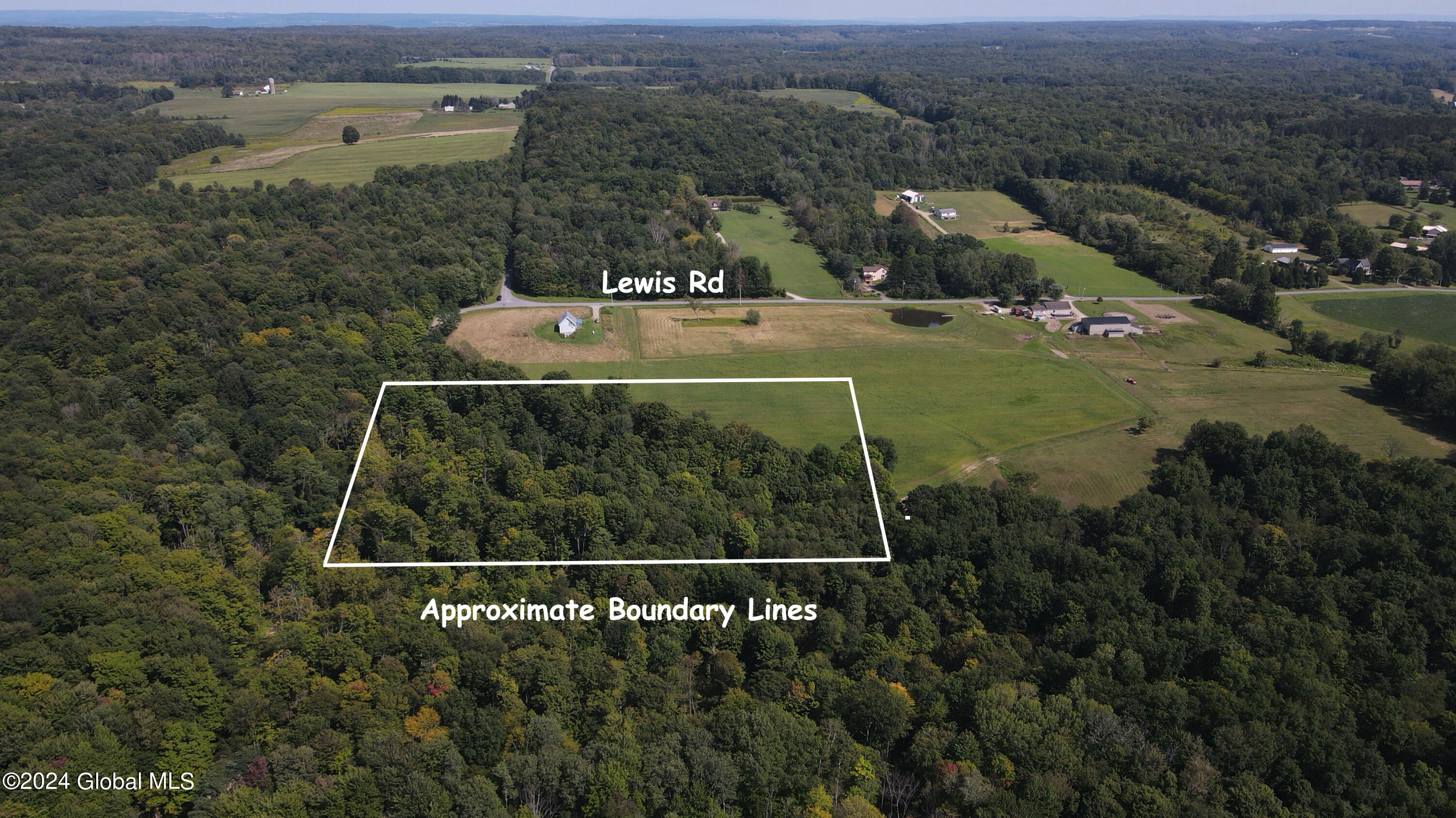 L31 Lewis Road Bemus Point, NY 14712 - Photo 14 of 16 DJI_01090