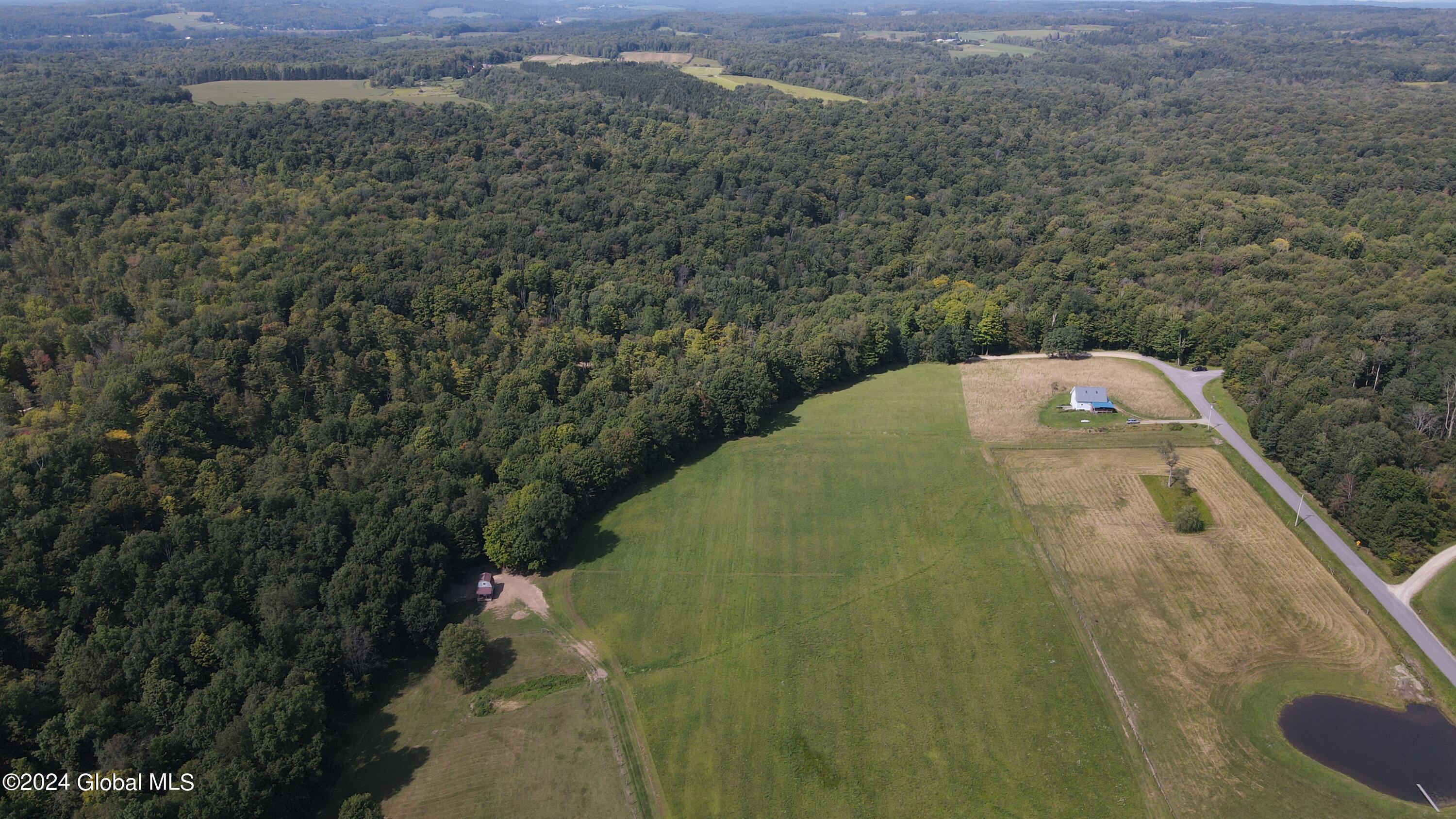 L31 Lewis Road Bemus Point, NY 14712 - Photo 6 of 16 DJI_0114