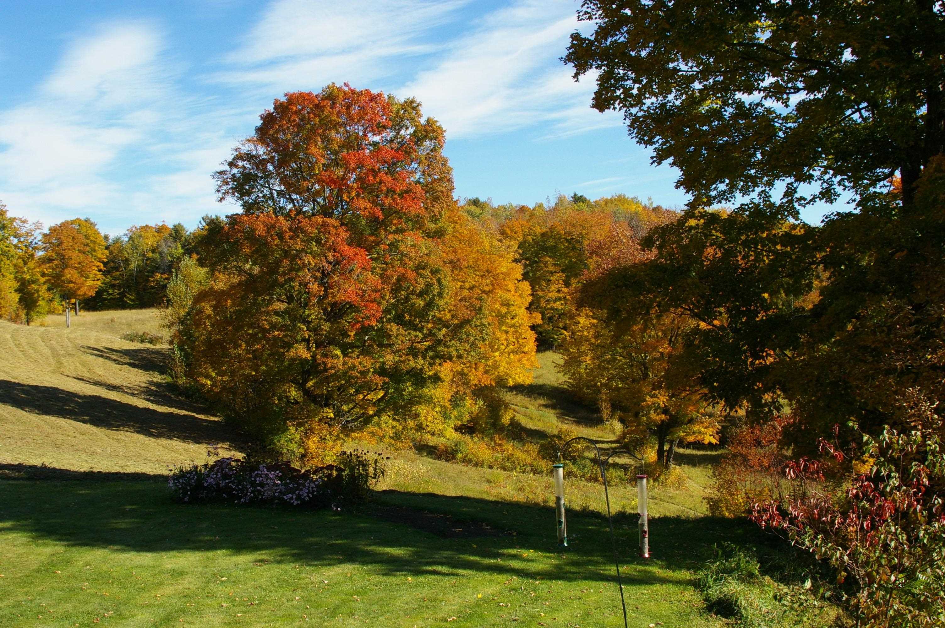 89 Jordan Road Strafford, VT 05072 - Photo 9 of 43