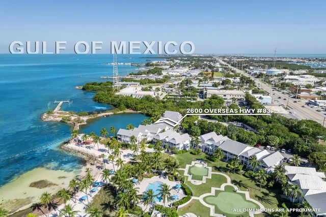 an outdoor space with patio and palm tree