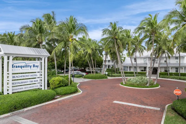 a view of a yard with palm trees