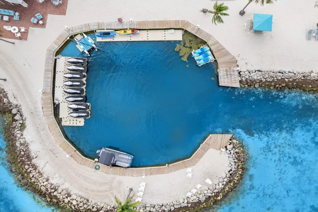 a close up of a flower in a garden