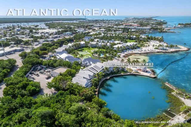an aerial view of residential houses with outdoor space and swimming pool