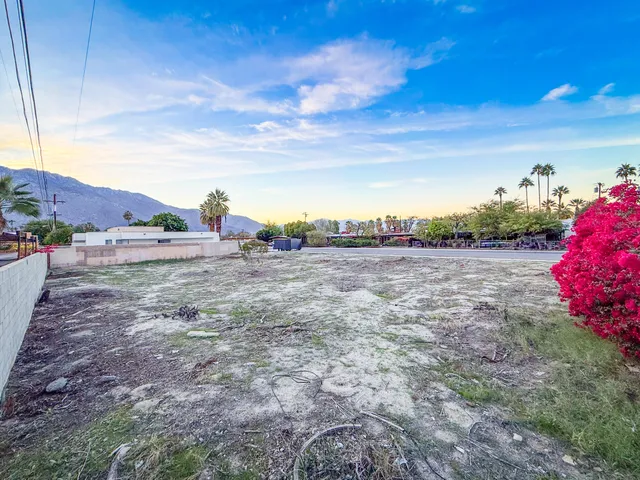 a view of a dry yard with wooden fence