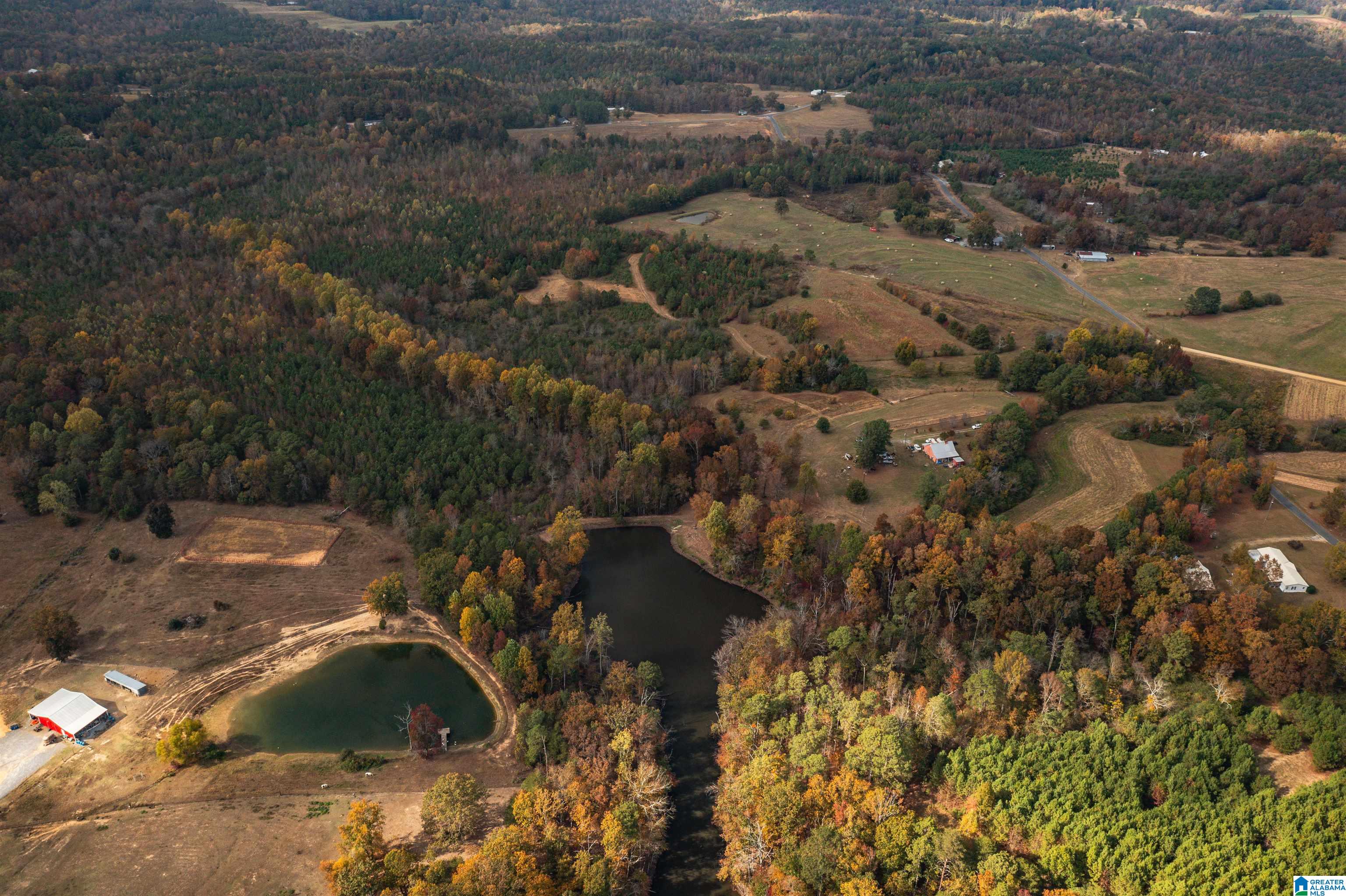 0 Mountain View Church Road, Unit 1 Altoona, AL 35952 - Photo 19 of 36