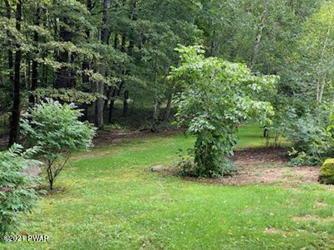424 Teeple Road Equinunk, PA 18417 - Photo 25 of 41 FENCED IN 2 ACRE YARD