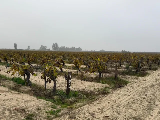 $2,345,100 | 13242 South Willow Avenue, Selma, CA 93662