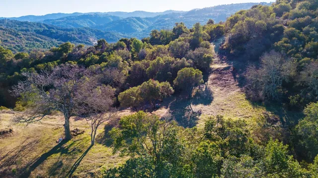 a view of a lot of trees and houses