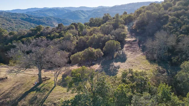 a view of a forest with mountains and mountain view