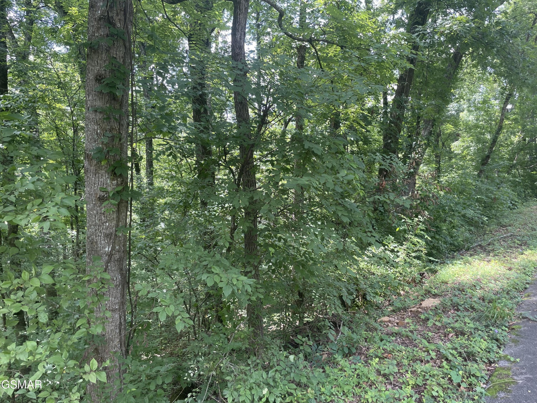 1 King Estates Road Sevierville, TN 37876 - Photo 8 of 9
