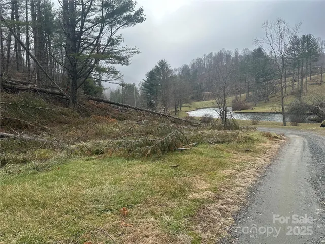 $59,900 | 99999 Big Rock Creek Drive, Bakersville, NC 28705