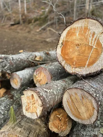 $59,900 | 99999 Big Rock Creek Drive, Bakersville, NC 28705