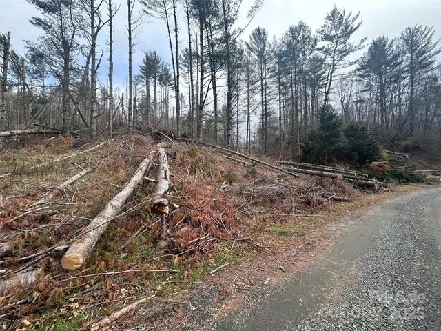 $59,900 | 99999 Big Rock Creek Drive, Bakersville, NC 28705