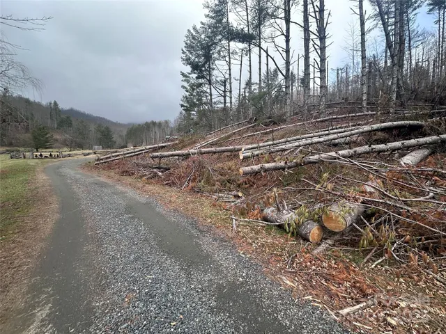 $59,900 | 99999 Big Rock Creek Drive, Bakersville, NC 28705