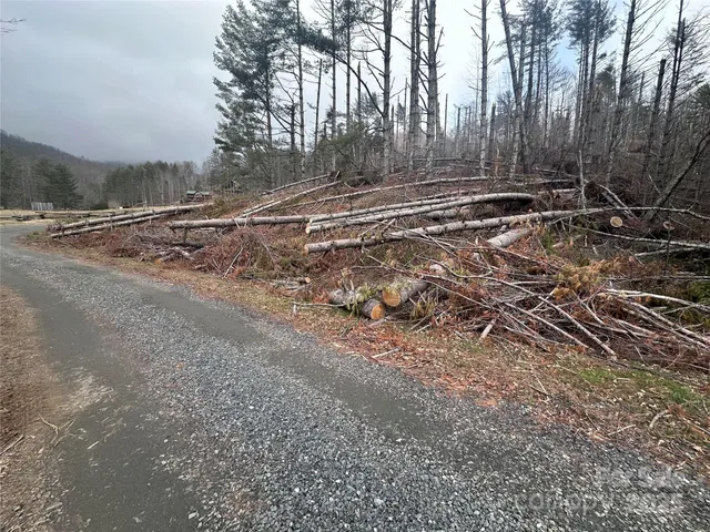 $59,900 | 99999 Big Rock Creek Drive, Bakersville, NC 28705