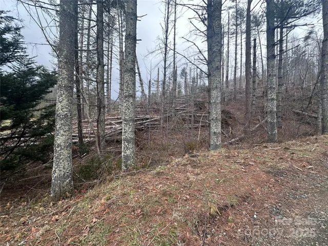 $59,900 | 99999 Big Rock Creek Drive, Bakersville, NC 28705