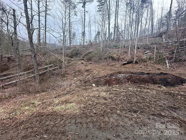 $59,900 | 99999 Big Rock Creek Drive, Bakersville, NC 28705