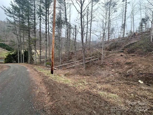 $59,900 | 99999 Big Rock Creek Drive, Bakersville, NC 28705