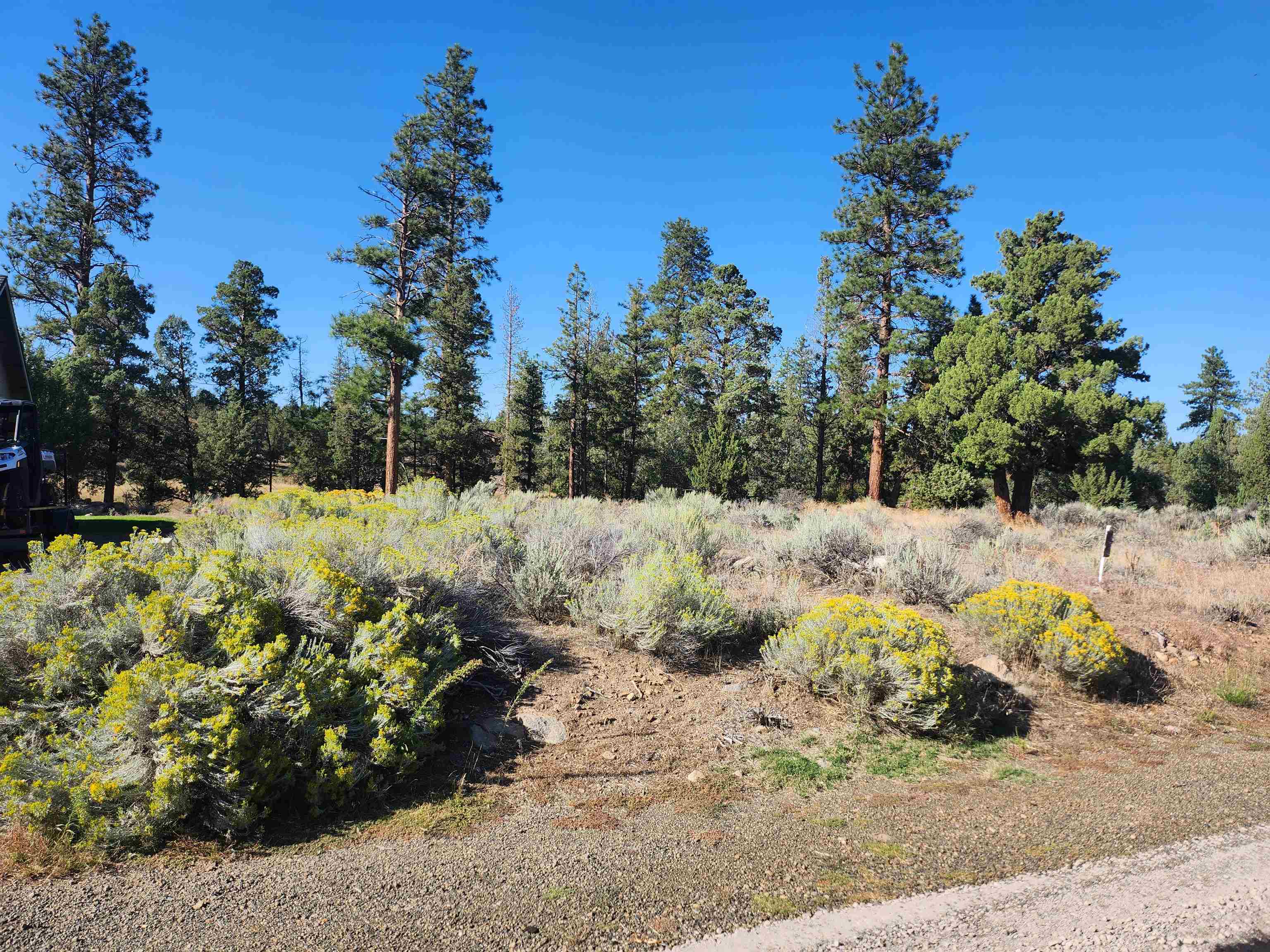 Lot 273 Riverside Drive Weed, CA 96094 - Photo 1 of 18 Gallery Image 1