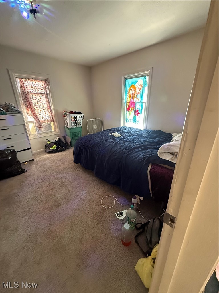 746 Wooster Road North Barberton, OH 44203 - Photo 26 of 44 View of carpeted bedroom