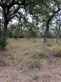 a view of an outdoor space