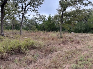 244 Orange Somerville, TX 77879 - Photo 6 of 6 a view of a yard with lots of green space