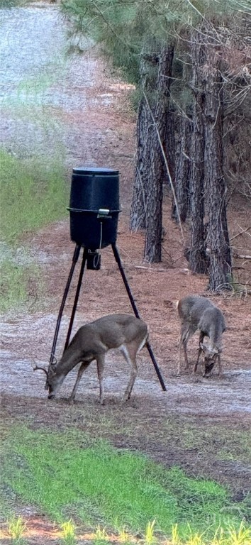 117 Ridgewood Court Vidalia, GA 30474 - Photo 56 of 60 Transferable Lease Option Available