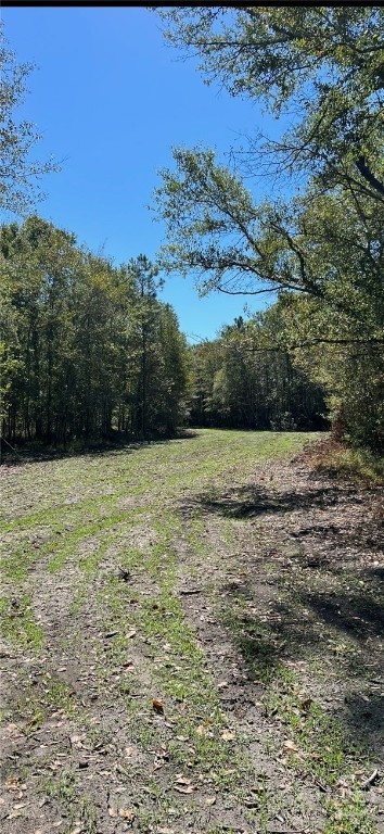 117 Ridgewood Court Vidalia, GA 30474 - Photo 59 of 60 429 Acres