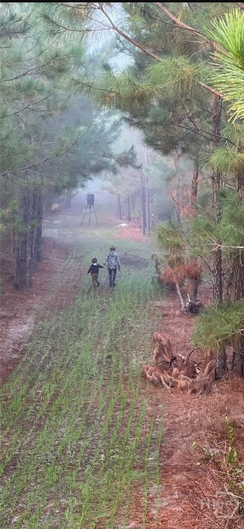 117 Ridgewood Court Vidalia, GA 30474 - Photo 60 of 60