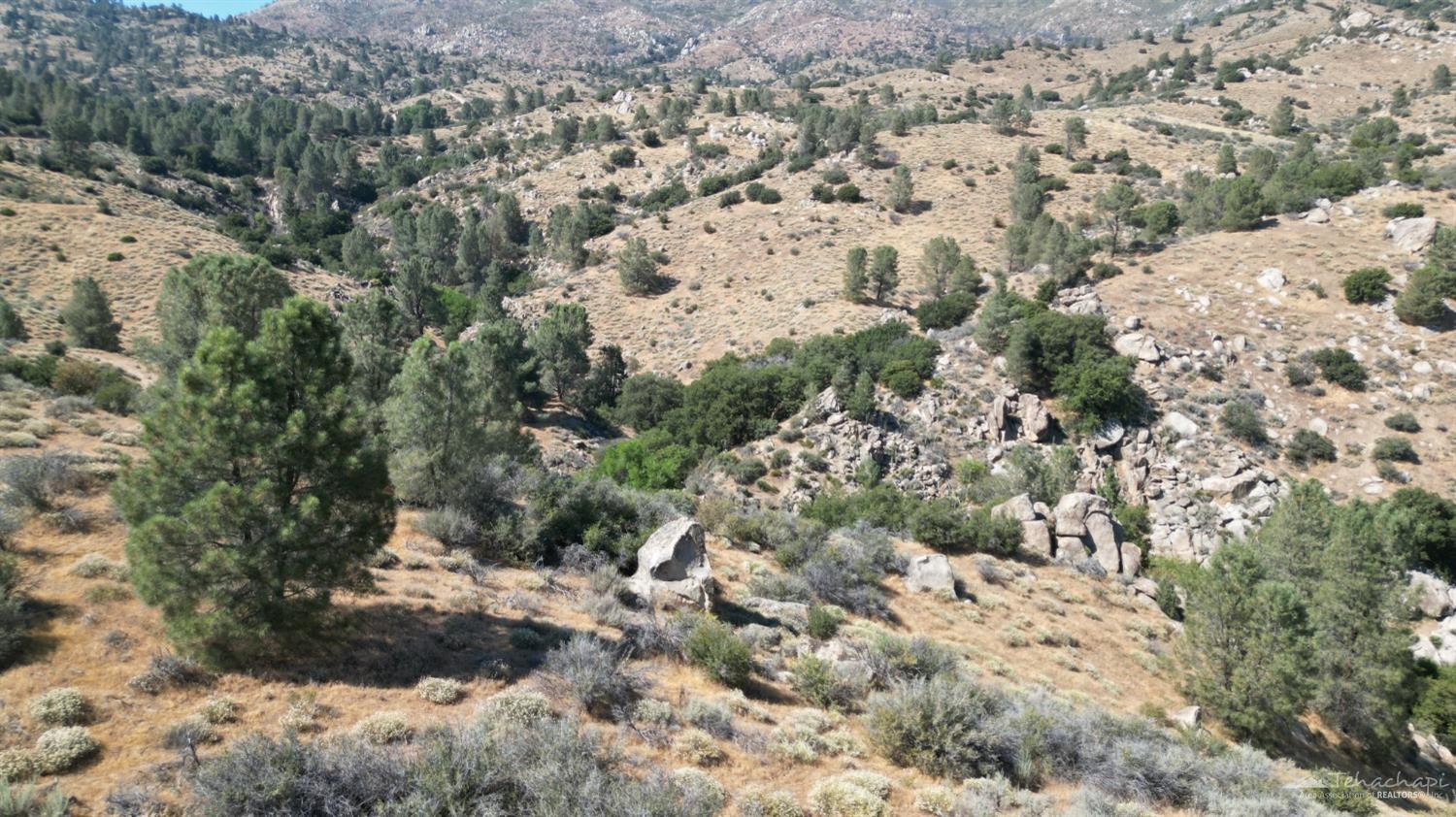 0 Piute Mountain Road Caliente, CA 93518 - Photo 8 of 35 Gallery Image 8