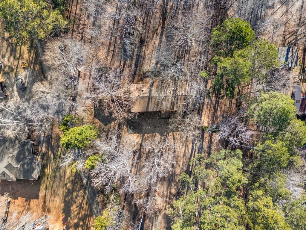 5590 John Burruss Road Cumming, GA 30040 - Photo 16 of 17 a view of a yard with plants and large trees