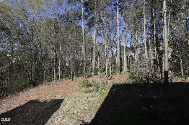 a view of a yard with trees