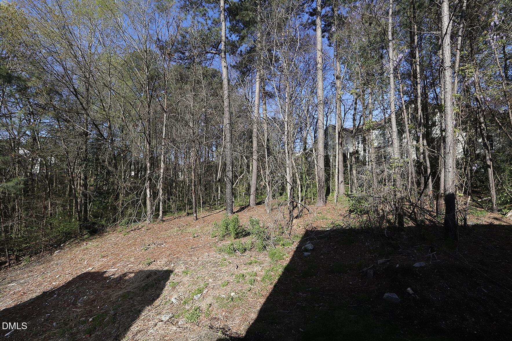 5947 Four Townes Lane Raleigh, NC 27616 - Photo 13 of 13 a view of a yard with trees