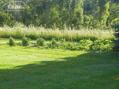 861 North Hintz Road Owosso, MI 48867 - Photo 44 of 44 20419785-43.JPG