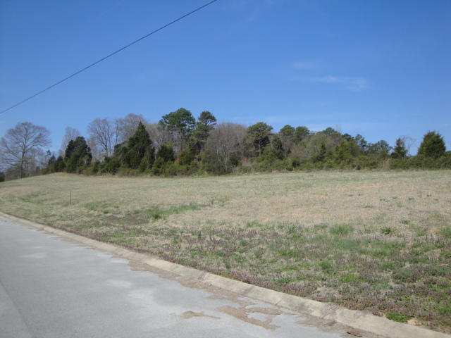Lot 17 Pocahontas Lane Rutledge, TN 37861 - Photo 3 of 4 Lot 17 (2)