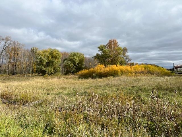 2361 South Merritt Road Merritt, MI 49667 - Photo 6 of 38