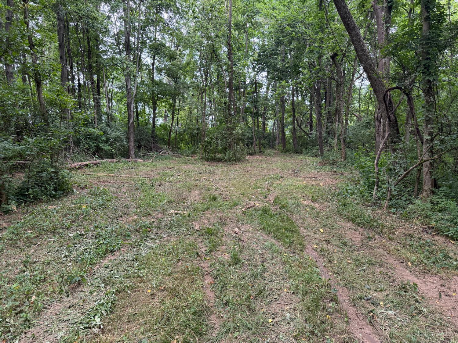 10237 Collins-Riley Road Blanchester, OH 45107 - Photo 5 of 17 Gallery Image 5