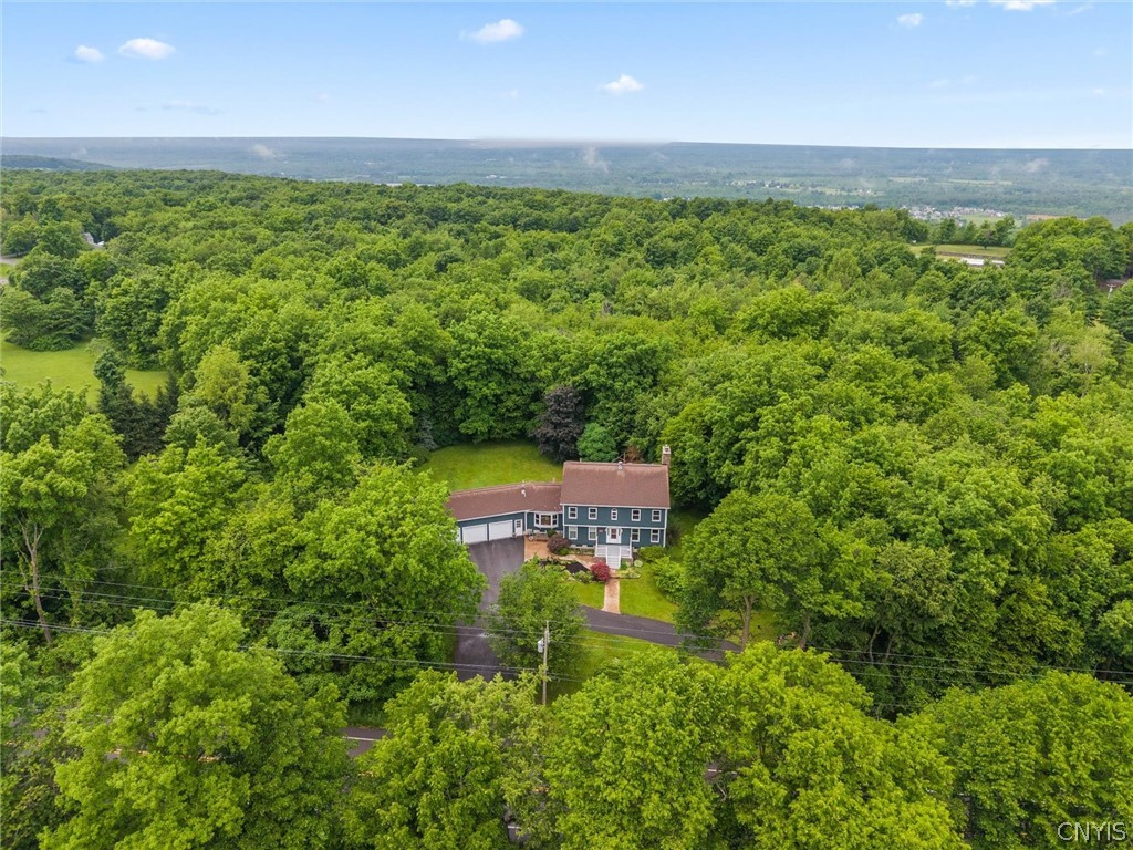 8827 Salt Springs Road Chittenango, NY 13037 - Photo 47 of 50