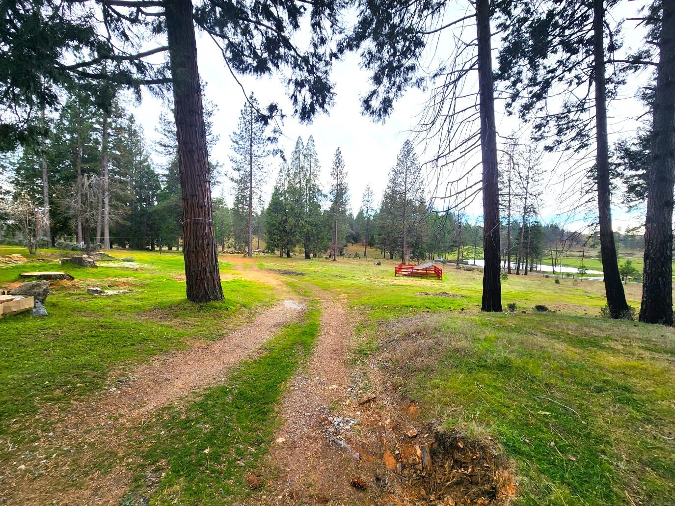 19500 Jesus Maria Road Mokelumne Hill, CA 95245 - Photo 56 of 92 a view of a park with tree s