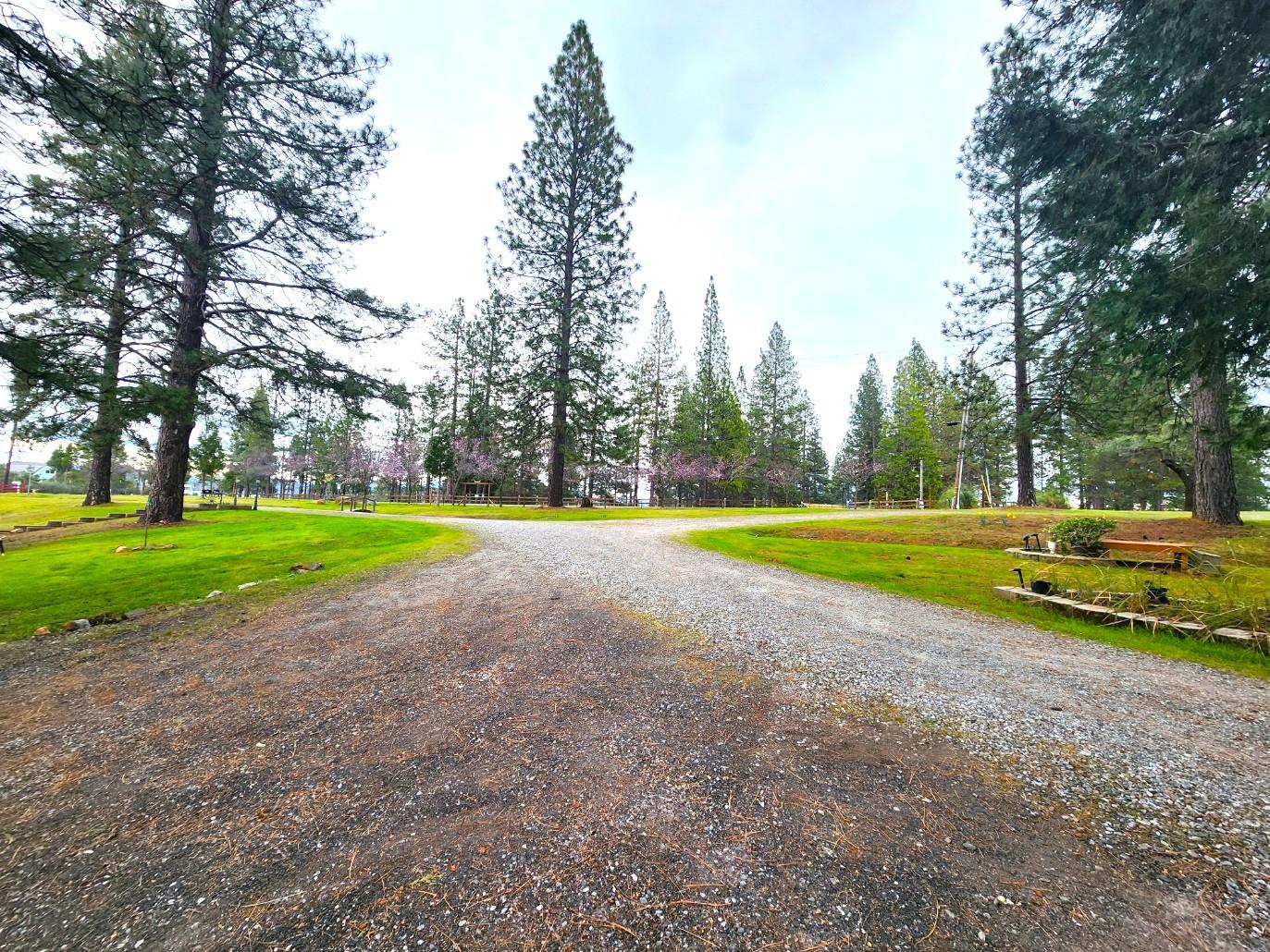 19500 Jesus Maria Road Mokelumne Hill, CA 95245 - Photo 57 of 92 a view of a golf course with a big yard