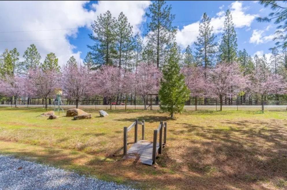 19500 Jesus Maria Road Mokelumne Hill, CA 95245 - Photo 65 of 92 a view of a swimming pool with an outdoor space and seating area