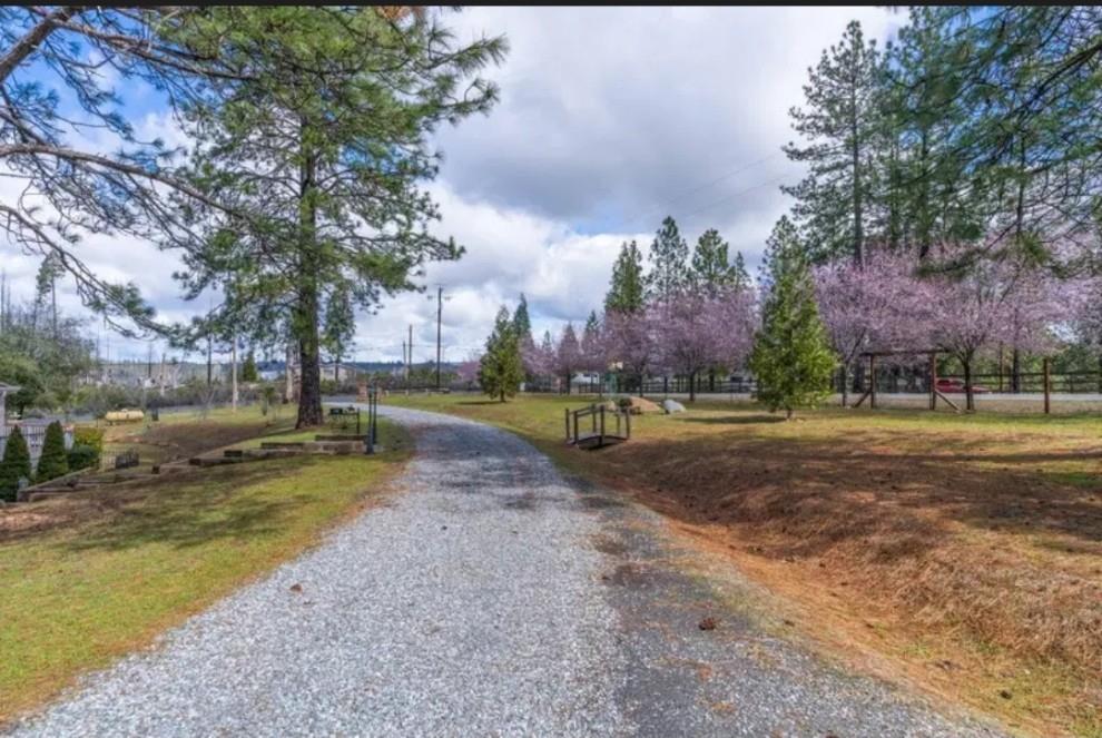 19500 Jesus Maria Road Mokelumne Hill, CA 95245 - Photo 92 of 92 a view of a park with large trees