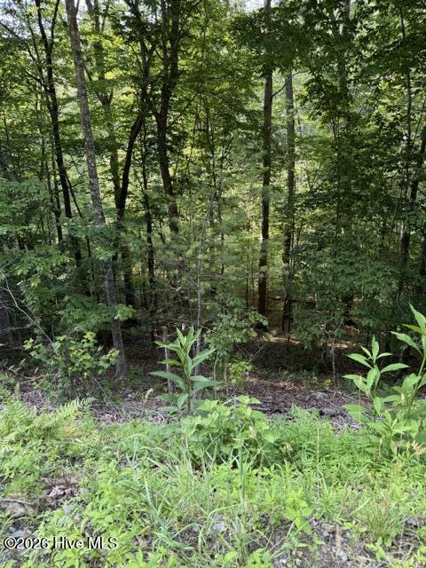 Lot 37 Quiet Waters Road Murphy, NC 28906 - Photo 3 of 6